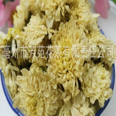 批发七月菊 黄山七月菊花 干菊花茶 精选菊花干花茶源头厂家直销图2