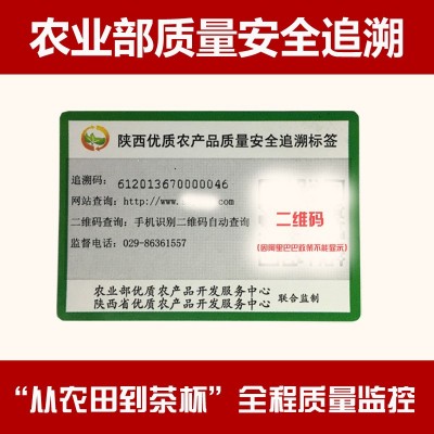 厂家直销陕西平利绞股蓝龙须 野生五叶绞股蓝龙须茶 250g图2