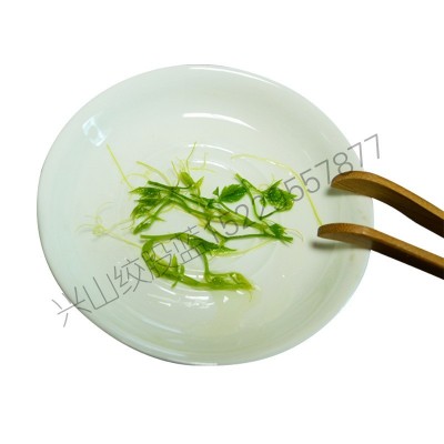 陕西平利绞股蓝 源头工厂 正品野生七叶绞股蓝250克袋装苦味图4