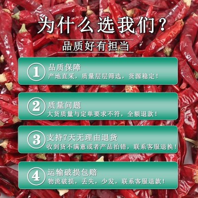 印度椒s17干辣椒段香辣干货红辣椒特辣炒菜卤菜提辣魔鬼辣干辣椒图2