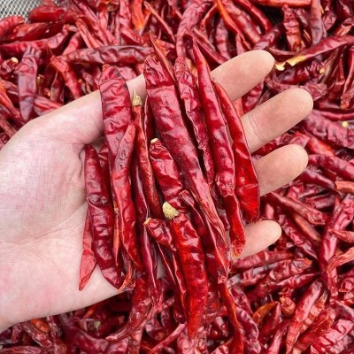 印度椒s17干辣椒段香辣干货红辣椒特辣炒菜卤菜提辣魔鬼辣干辣椒图5