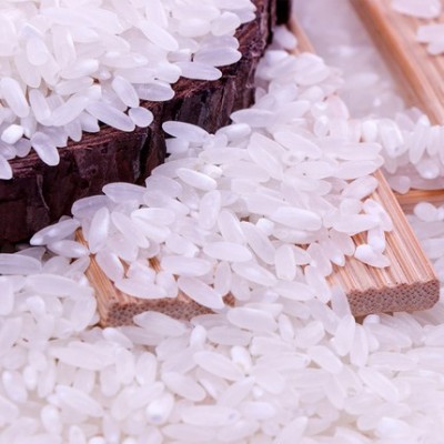 五常稻花香2号10斤一袋东北长粒香大米5kg装新米真空包装现货批发图3