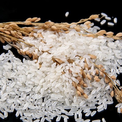 东北长粒香米10斤长粒米20斤装大米2.5kg新米50斤快餐/外卖 店批发图4