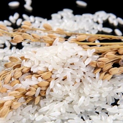 五常大米5斤10斤20斤一袋东北大米5kg装新米粳米批发2.5kg现磨图3