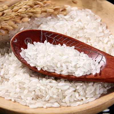 五常大米5斤10斤20斤一袋东北大米5kg装新米粳米批发2.5kg现磨图2