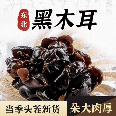 【15倍泡发】东北黑木耳干货长白山特产秋木耳无根商用优选批发图3