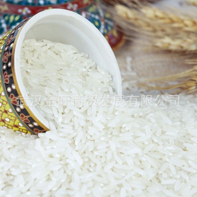 亚象（红）泰国香米25kg 新包装 泰国香米批发 大米批发图4