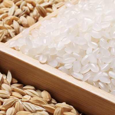 金龙鱼盘锦大米5kg优质东北大米珍珠米粳米软糯香米营养健康图2