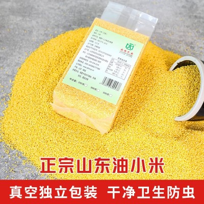 山东黄小米农家新米252g真空装粘糯小黄米五谷杂粮真空米一件代发图3