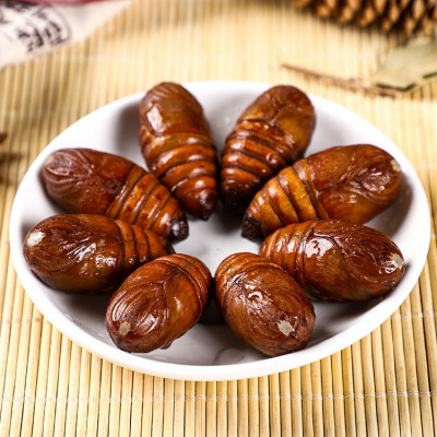 东北特产蚕蛹新鲜鲜活大茧蛹子大蚕蛹蝉蛹柞蚕4-5厘米图3