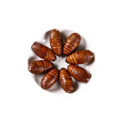 东北特产蚕蛹新鲜鲜活大茧蛹子大蚕蛹蝉蛹柞蚕4-5厘米图4