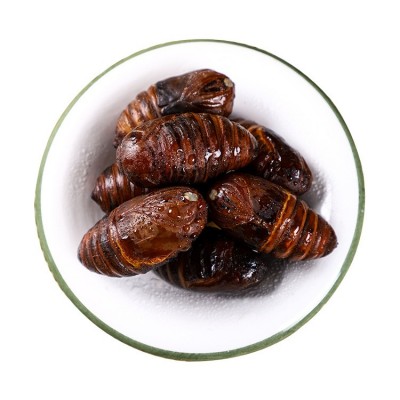 东北蚕蛹东北特产蚕蛹长年大量供应柞蚕蛹4-5厘米图4