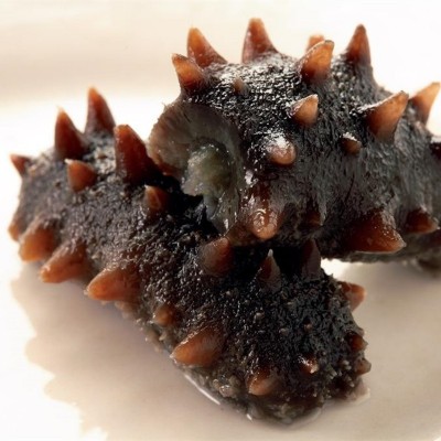 渔之郎即食海参礼盒10只40g装 海参产地大连一件代发图3