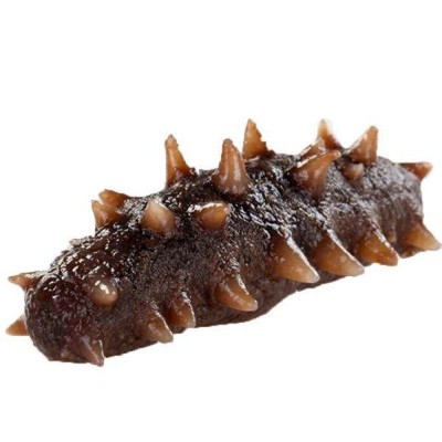 渔之郎即食海参礼盒10只40g装 海参产地大连一件代发图5