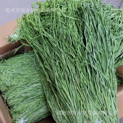 涮火锅批发义门贡菜干 脱水蔬菜新鲜无叶苔菜响菜干 亳州土特产贡