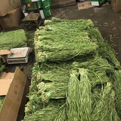 厂家批发涮火锅批发特选云南贡菜 干菜苔干干货贡菜 脱水蔬菜图2