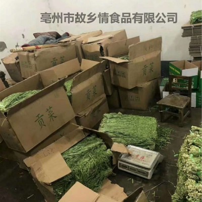 厂家批发涮火锅批发特选云南贡菜 干菜苔干干货贡菜 脱水蔬菜图4