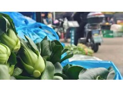 天寒不影响供应！沪蔬菜价格稳中有落，地产蔬菜增量上市