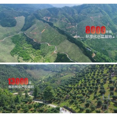 詹氏山核桃仁118g*4罐装坚果随心礼红礼盒安徽宁国零食天赐礼盒图3