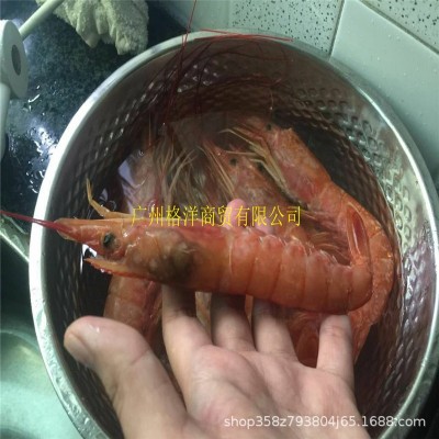 冷藏冻品纯野生老船长阿根廷红虾 大虾 船冻红虾 L1规格大码 烧烤图3