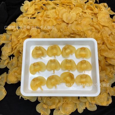 实体店批发 本港湛江赤嘴公肚花胶鱼胶海味干货送礼 招代理可代发图3