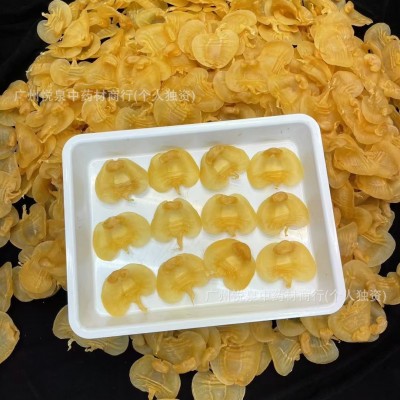 实体店批发 本港湛江赤嘴公肚花胶鱼胶海味干货送礼 招代理可代发图4