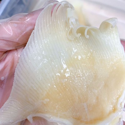 产地批发 北海鱼赤 海狗翅浦鱼赤片 佛跳墙酒店餐饮食材海味干货图3