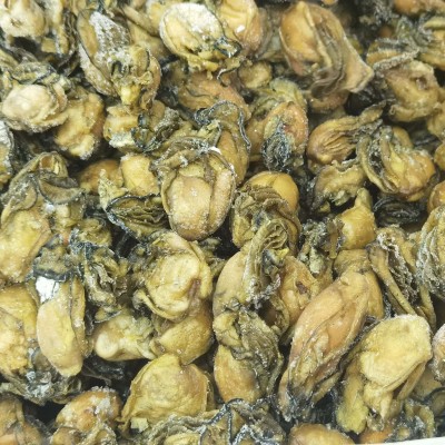 台山生晒蚝批发 不抽油大牡蛎干带膏 金蚝广东特产海蛎海味干货图2