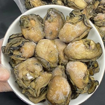 台山生晒蚝批发 不抽油大牡蛎干带膏 金蚝广东特产海蛎海味干货图5