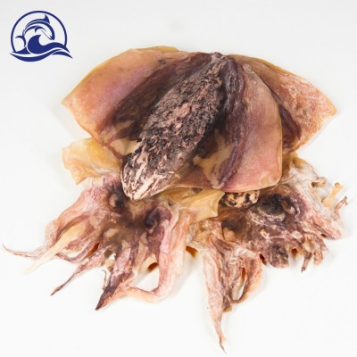 新货东海淡干咸小墨鱼干海产品 目鱼干货乌贼干墨鱼500克袋装图3