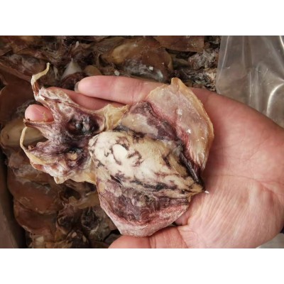 新货东海淡干咸小墨鱼干海产品 目鱼干货乌贼干墨鱼500克袋装图5