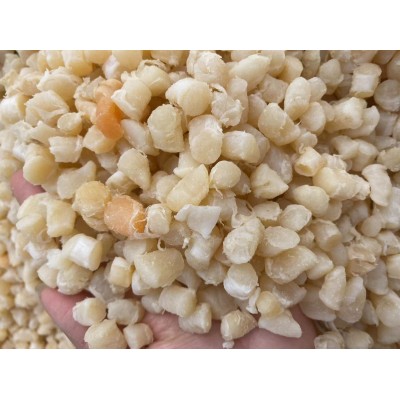 干贝瑶柱元贝扇贝丁250g非淡晒海鲜水产干货批发图5