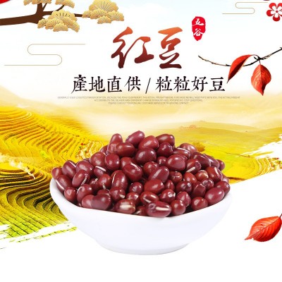 产地货源东北大红豆 新货大粒红小豆食品原料 五谷杂粮袋装25kg 2件图5