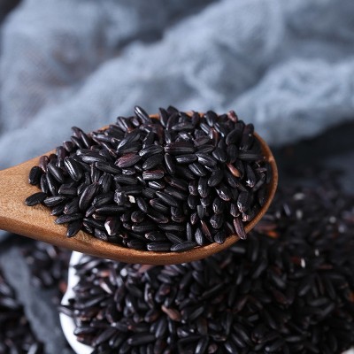 现货批发东北当季黑米 煮粥食品原料五谷杂粮粗粮 袋装50斤黑香米图3