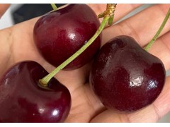 南宁：车厘子价格“跳水”带动销量大增