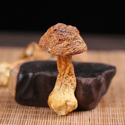 云南特产姬松茸干货批发食用巴西菇散装松茸菌食用姬松茸批发图2