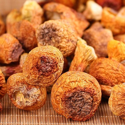 云南特产姬松茸干货批发食用巴西菇散装松茸菌食用姬松茸批发图4