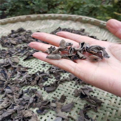 黑木耳青川野外生长椴木耳秋木耳木耳肉厚农家特产干货批发天然