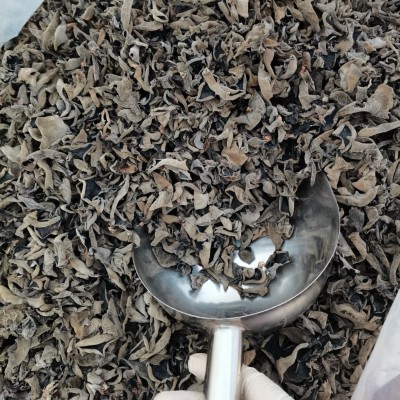 黑木耳青川野外生长椴木耳秋木耳木耳肉厚农家特产干货批发天然图2