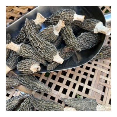 新品头茬中朵50G羊肚菌 青川高山干货精选羊肚蘑香味很好非云南货图2