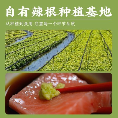 菊正宗青芥辣43g芥末辣根酱寿司刺身三文鱼鱼生日本料理家用批发图3