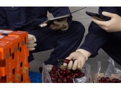 近千吨智利樱桃到货，近期全国多地车厘子批发价下降