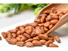 全球松子预计减产近三成，价格创新高