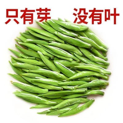 雀舌茶叶特级嫩芽绿茶新茶叶贵州湄潭翠芽浓香型散装春茶图3