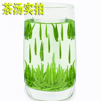 500g贵州雀舌茶新茶明前特级全嫩芽尖湄潭翠芽浓香型毛尖茶叶图3