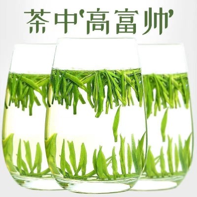 500克 雀舌春茶毛尖特级绿茶明前嫩芽贵州湄潭翠芽便宜批图4