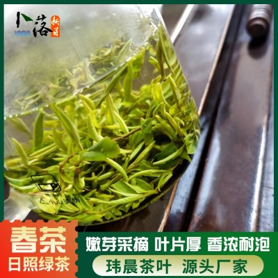 2025 早春 春茶 卜落新芽日照绿茶春茶 一牙一叶日照绿色生态茶叶图3