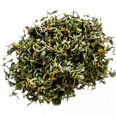 2025 早春 春茶 卜落新芽日照绿茶春茶 一牙一叶日照绿色生态茶叶图5