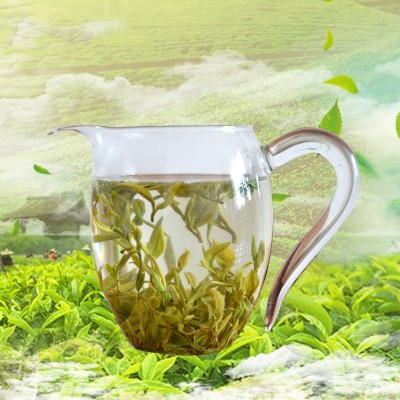 2024 新茶叶 浓香耐泡山东日照绿茶 散装春茶厂家批发卜落新芽图2