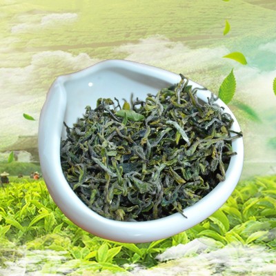 2024 新茶叶 浓香耐泡山东日照绿茶 散装春茶厂家批发卜落新芽